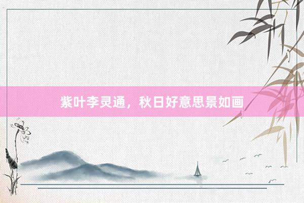 紫叶李灵通，秋日好意思景如画