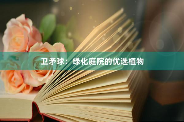 卫矛球：绿化庭院的优选植物