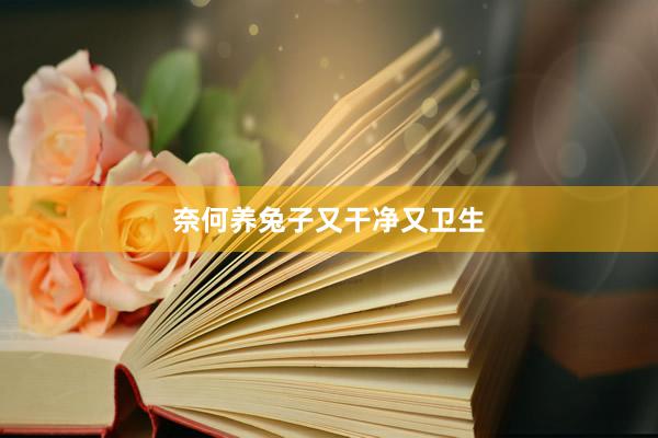 奈何养兔子又干净又卫生