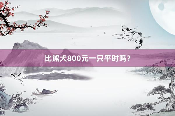 比熊犬800元一只平时吗？