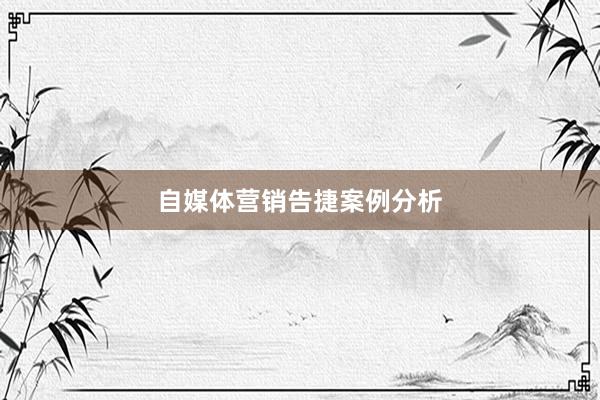 自媒体营销告捷案例分析